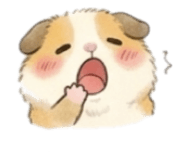 846214651