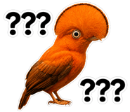 846215439