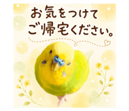 846215758