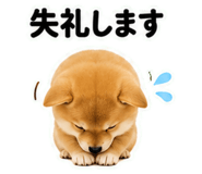 846215821