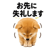 846215824