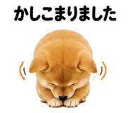 846215830