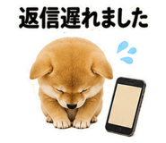 846215846