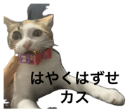 846216157