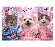 846217184