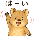 846217337