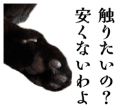 846217419
