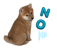 846217528