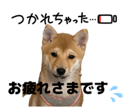 846217530