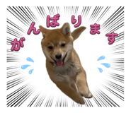 846217535