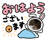 846217545