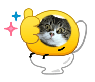 846217552