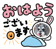 846218303