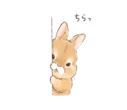 846219679