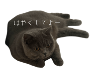 846219730