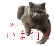 846219733