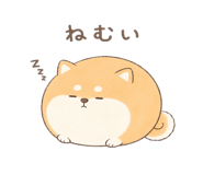 846221579
