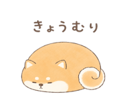 846221582