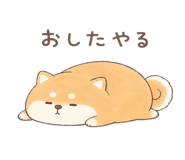846221583