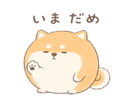 846221585