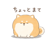 846221586