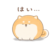 846221587
