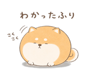 846221589