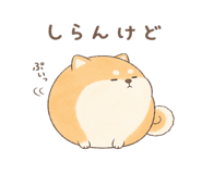846221590