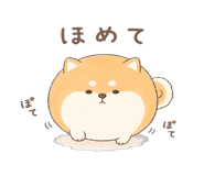 846221592