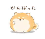 846221593