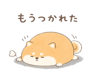 846221594