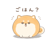 846221596