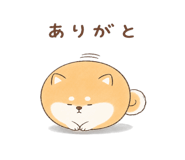 846221602