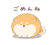 846221603
