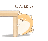 846221605