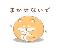 846221607