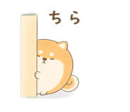 846221613