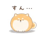 846221614