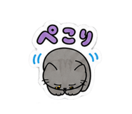 846223823