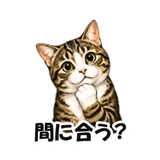 846224033