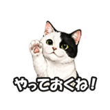 846224036