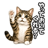 846224038