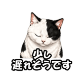 846224040