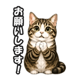 846224042