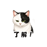 846224049