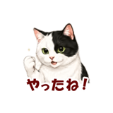 846224051