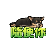 846224856