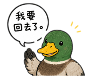 846227347