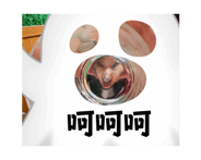 846227549