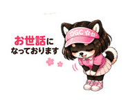 846227637